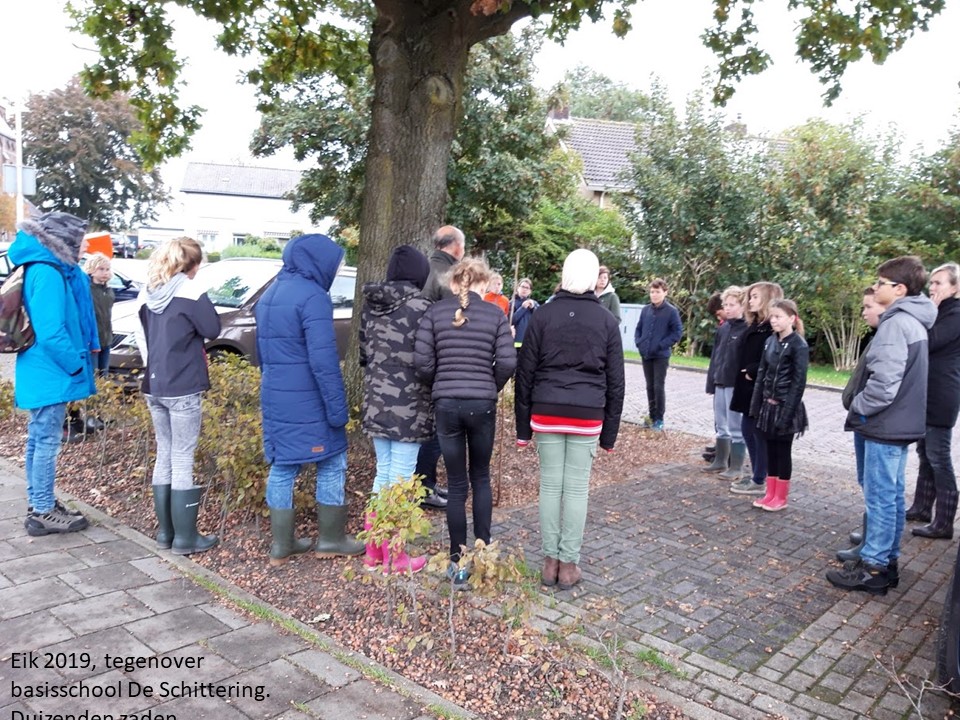 19.17.11 presentatie